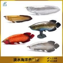 魚臺(tái)哪個(gè)水族館龍魚好？祥龍魚場(chǎng)龍魚（全球首家龍魚繁殖漁場(chǎng)(馬來(lái)西亞祥龍魚場(chǎng)）