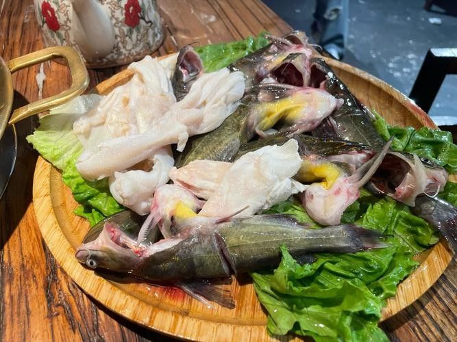 龍魚能吃雞胸肉嗎圖片視頻（龍魚可以吃雞胸肉嗎）