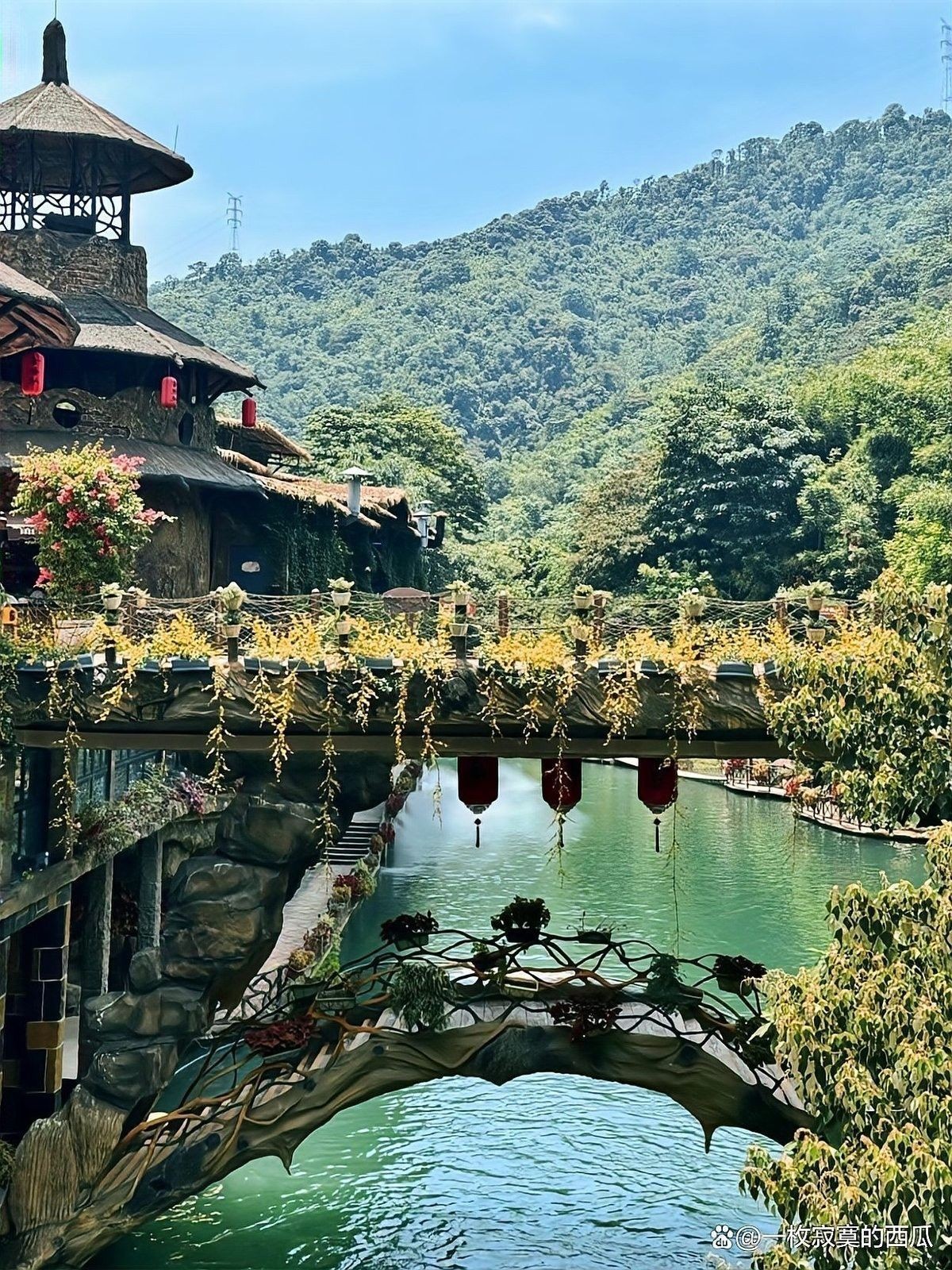 如何預測桂魚未來價格走勢，2025年桂魚價格預測
