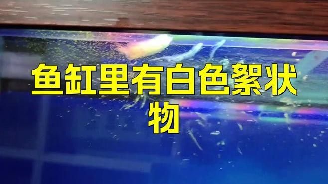 如何區(qū)分菌膜和病理性絮狀物（菌膜和病理性絮狀物是兩種不同的病理現(xiàn)象）