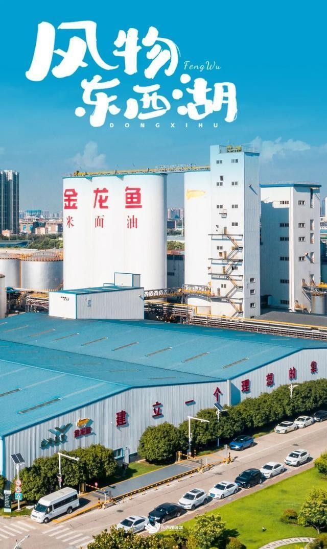 金龍魚大健康產(chǎn)業(yè)有哪些主要產(chǎn)品？（益海嘉里金龍魚榮獲中國(guó)營(yíng)養(yǎng)學(xué)會(huì)科學(xué)技術(shù)獎(jiǎng)一等獎(jiǎng)）