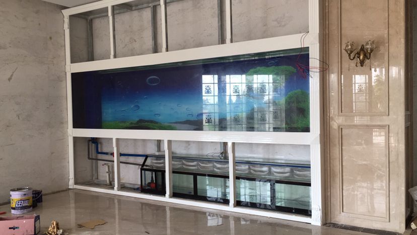 邯鄲水族館差門有了門好完美（邯鄲水族館“差門”事件提醒，水族廠家評論：就差門了）