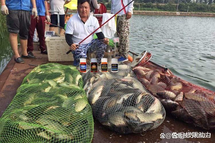 金龍魚餌料有哪些主打產品（金龍魚餌料主打產品線涵蓋多種垂釣場景和魚種需求） 金龍魚餌料有哪些主打產品（金龍魚餌料主打產品線涵蓋多種垂釣場景和魚種需求） 龍魚百科 第9張