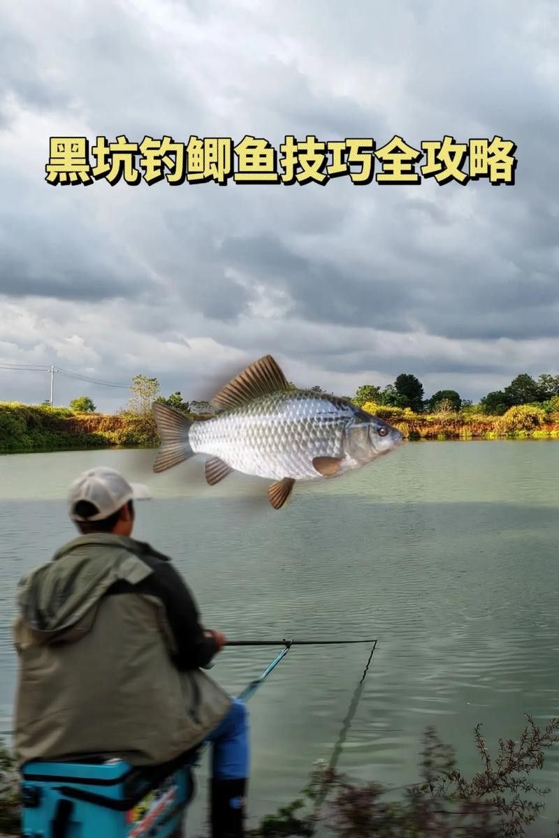 金龍魚餌料有哪些主打產品（金龍魚餌料主打產品線涵蓋多種垂釣場景和魚種需求） 金龍魚餌料有哪些主打產品（金龍魚餌料主打產品線涵蓋多種垂釣場景和魚種需求） 龍魚百科 第10張