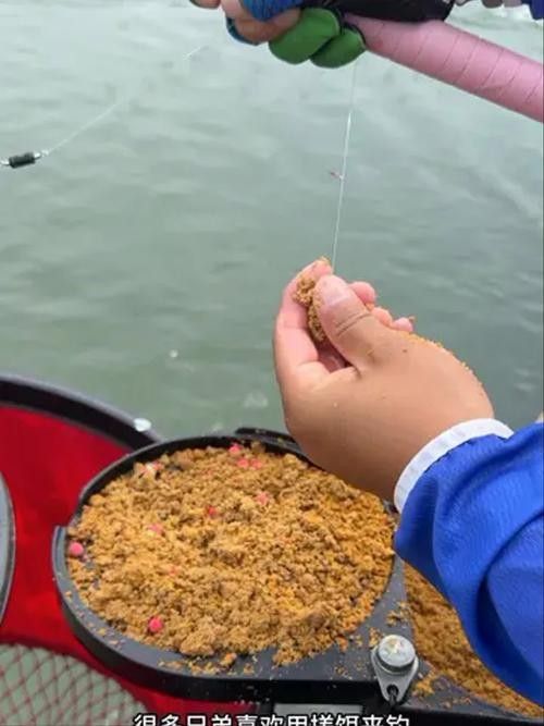 金龍魚餌料有哪些主打產品（金龍魚餌料主打產品線涵蓋多種垂釣場景和魚種需求） 金龍魚餌料有哪些主打產品（金龍魚餌料主打產品線涵蓋多種垂釣場景和魚種需求） 龍魚百科 第14張