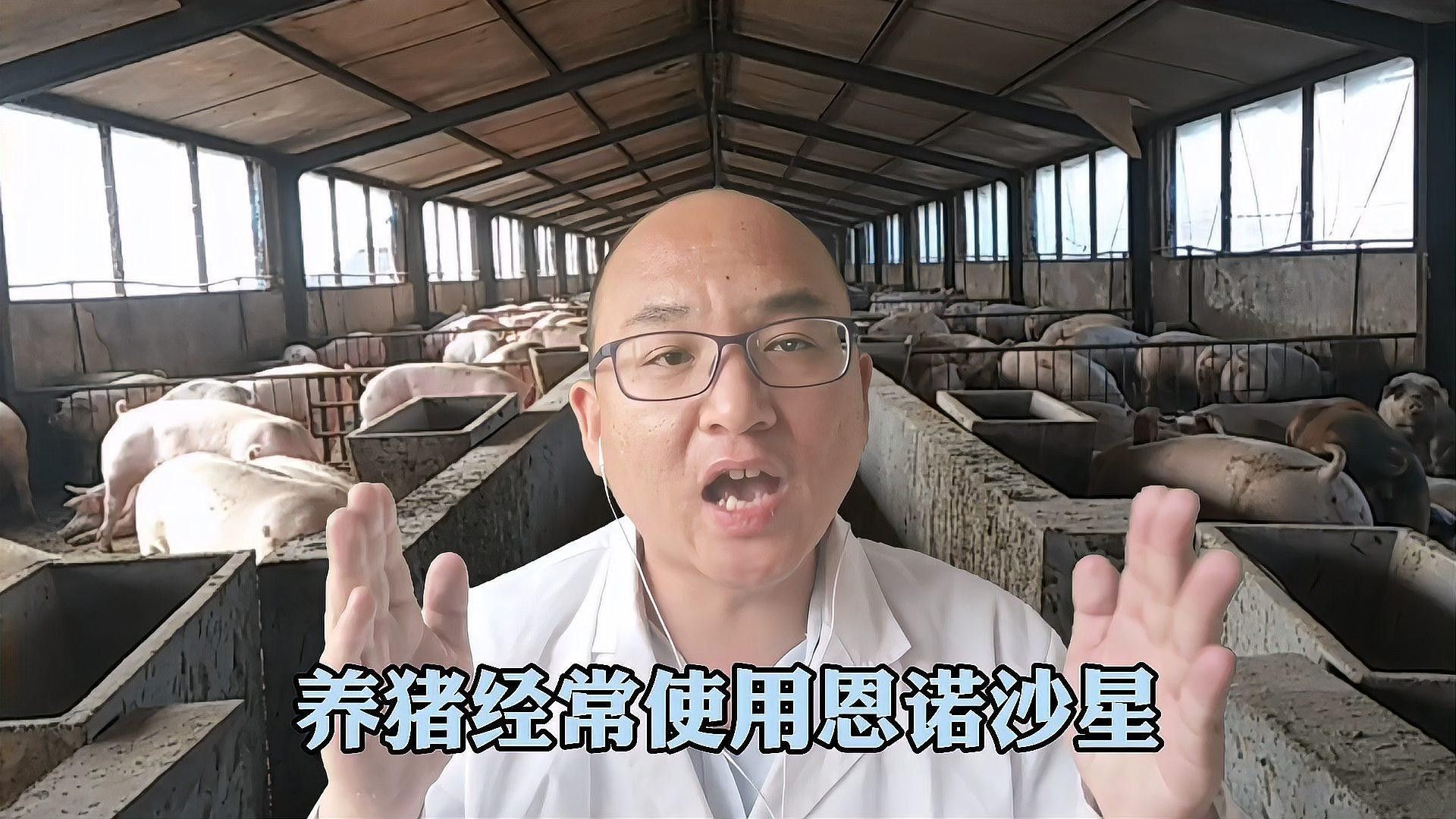 詳細閱讀:恩諾沙星和土霉素哪個更有效(不能被小瞧的恩諾沙星,5種搭配經典組方) 恩諾沙星和土霉素哪個更有效(不能被小瞧的恩諾沙星,5種搭配經典組方)