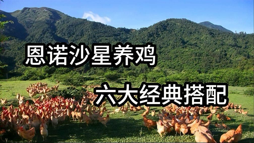 詳細閱讀:恩諾沙星和土霉素哪個更有效(不能被小瞧的恩諾沙星,5種搭配經典組方) 恩諾沙星和土霉素哪個更有效(不能被小瞧的恩諾沙星,5種搭配經典組方)