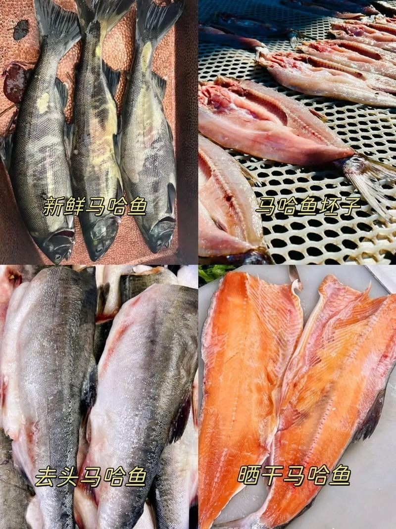 撫遠(yuǎn)什么魚最好吃（撫遠(yuǎn)最好吃的魚類是什么？）