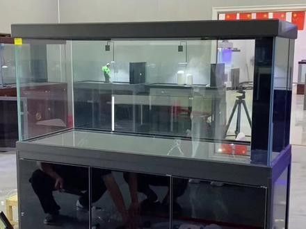 鰓白色絮狀物是由多種原因引起的，要準確區分這些病狀，魚鰓出現白色絮狀物怎么辦？