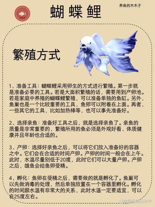 蝴蝶鯉的價格差異大嗎（蝴蝶鯉價格差異不大，蝴蝶鯉的價格差異可能受到多種因素影響）