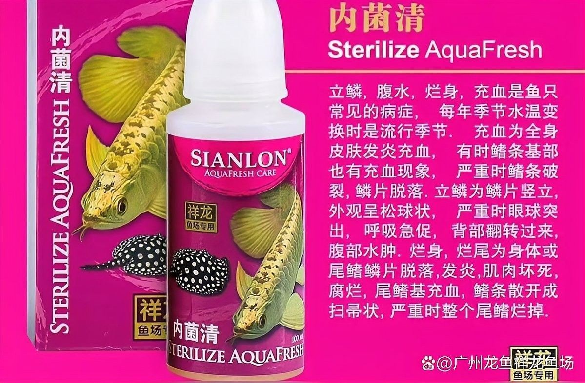 龍魚爛身自愈需要多長時間（龍魚爛身自愈需要多久）