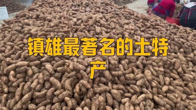 云南鎮雄土特產（云南鎮雄縣土特產）