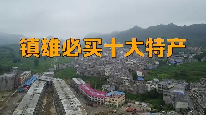 云南鎮雄土特產（云南鎮雄縣土特產）