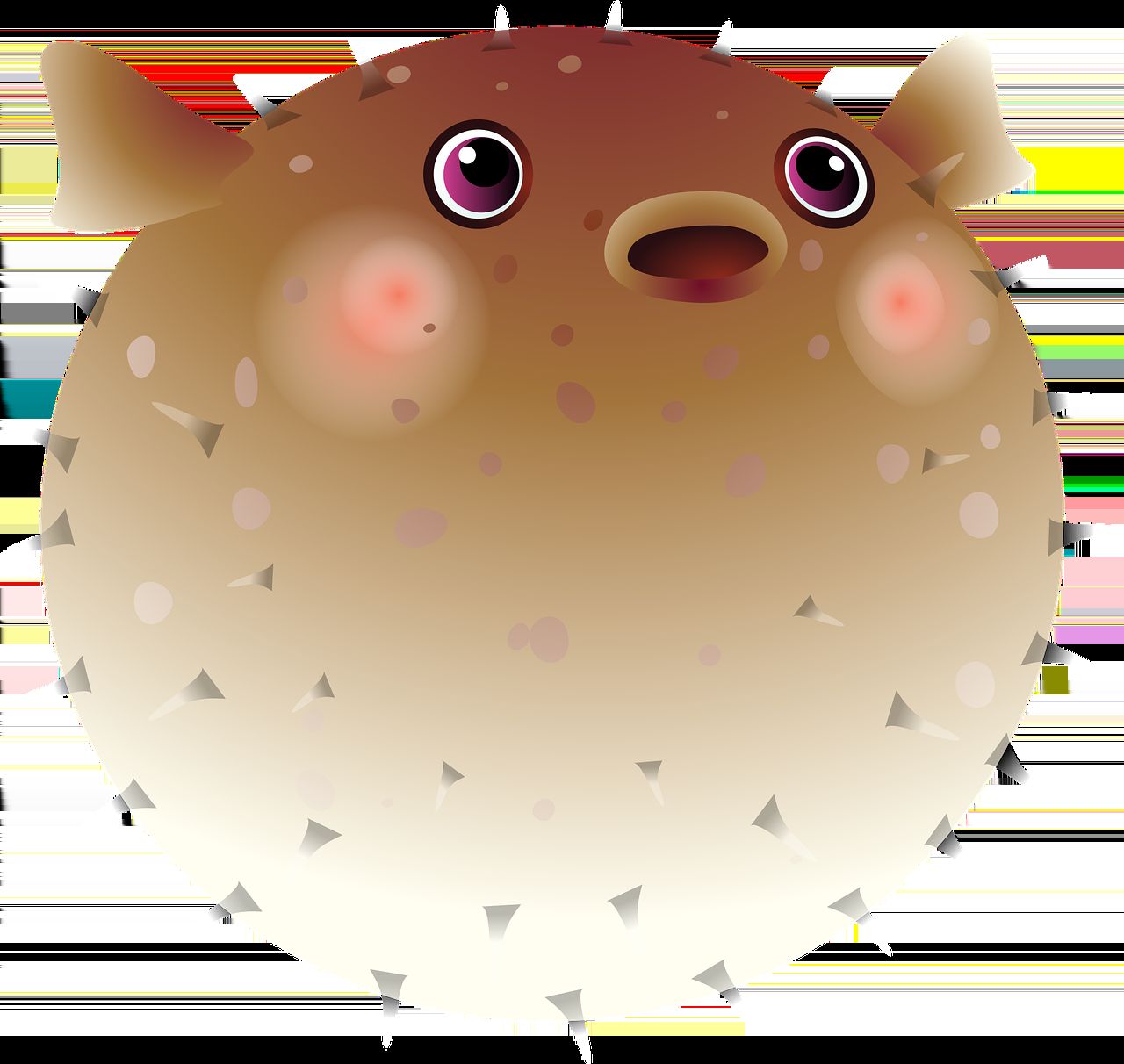 德陽水族批發市場地址在哪里呀電話（德陽水產養殖基地）