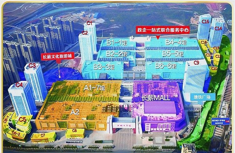 如何區分檸檬鯽的品種？，如何區分檸檬鯽品種？