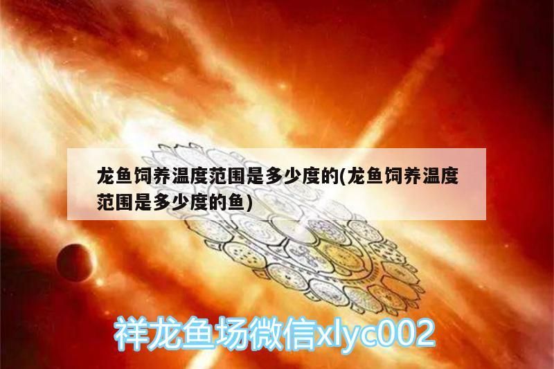 龍魚飼養(yǎng)溫度范圍是多少度的(龍魚飼養(yǎng)溫度范圍是多少度的魚)（龍魚飼養(yǎng)溫度范圍）