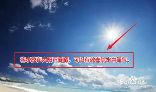 金龍魚介紹：金龍魚是一種廣泛種植的觀賞植物，以其壯觀的花形著稱