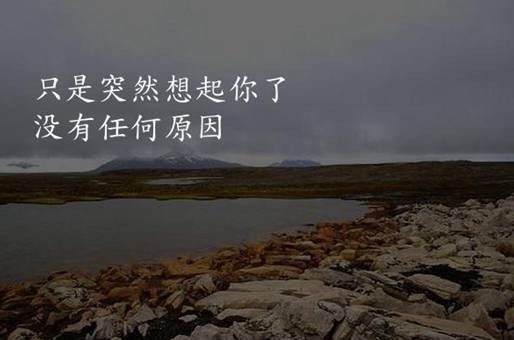 龍魚吃面包蟲會長快嗎（龍魚吃什么長得快）