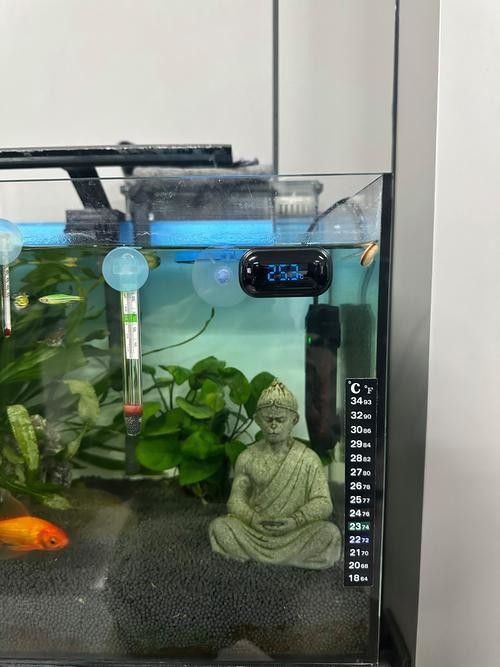 博世龍魚缸水溫表有哪些型號？（博世龍魚缸水溫表具體型號信息）
