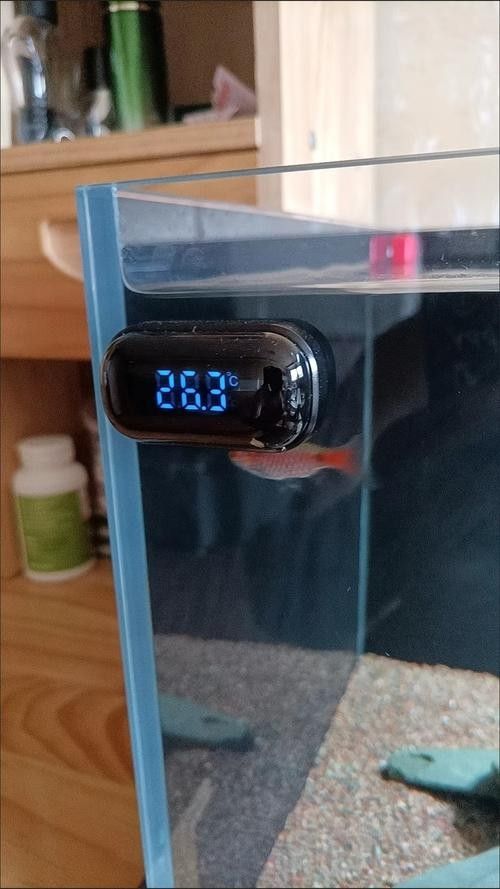 博世龍魚缸水溫表有哪些型號？（博世龍魚缸水溫表具體型號信息）