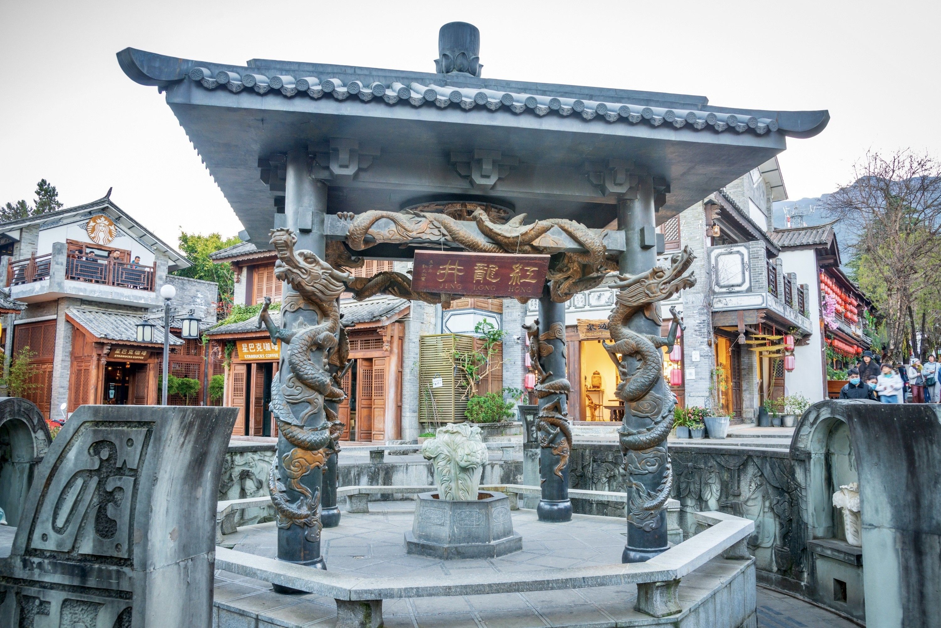 魚(yú)缸的魚(yú)視頻(魚(yú)缸的魚(yú)視頻教程)