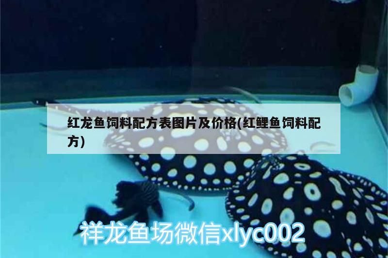 紅龍魚飼料配方表圖片及價格(紅鯉魚飼料配方)