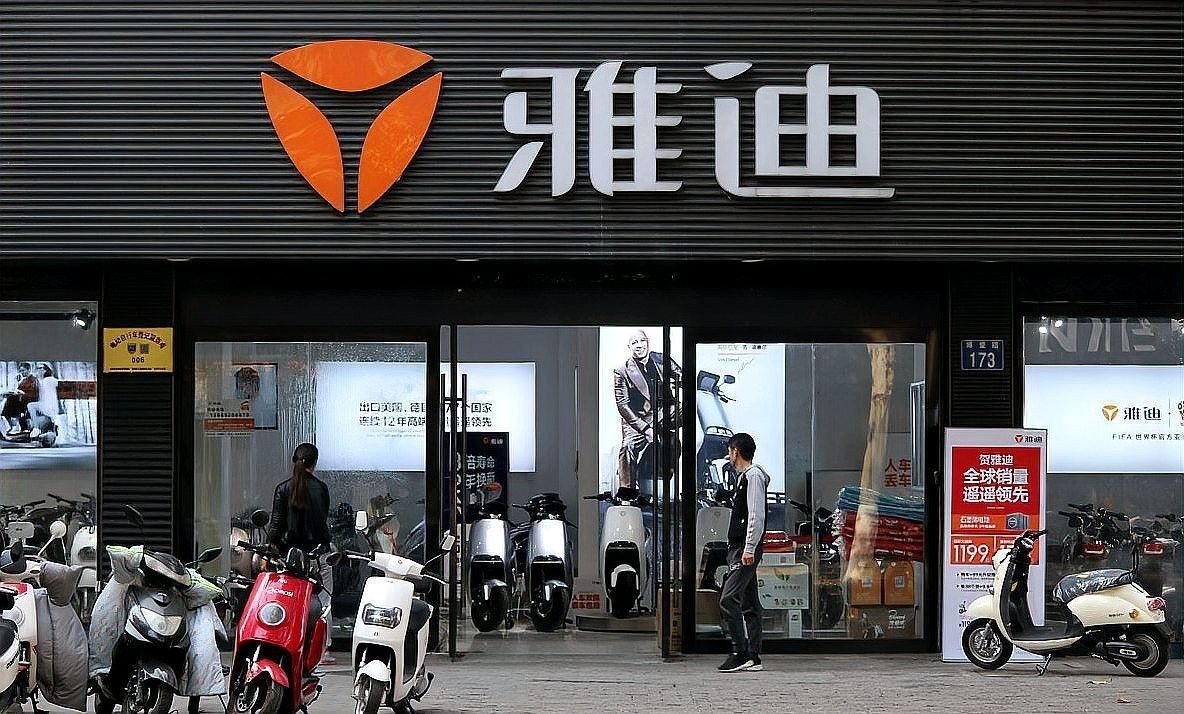 臨安龍魚屬于雜牌嗎