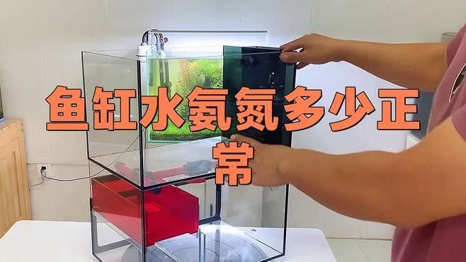 紅龍魚(yú)趴缸會(huì)死嗎？