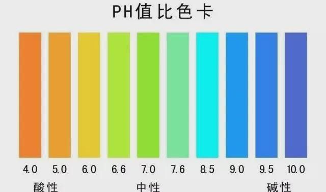 紅龍魚趴缸會死嗎？