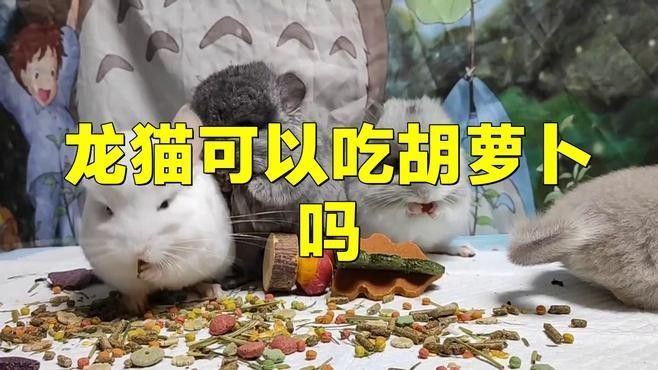 紅龍魚苗期需要多久換一次水，紅龍魚苗期需要多久換一次水，