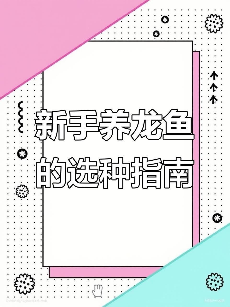 新手養龍魚要買什么魚（新手養龍魚需要準備哪些設備？）