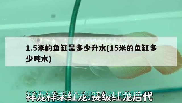 1.5米的魚缸是多少升水(15米的魚缸多少噸水)（1.5米的魚缸多少噸水、1.5米的魚缸多少升水）