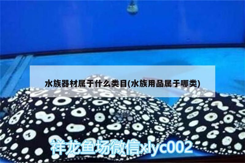 <strong><mark>水族器材</mark></strong>屬于什么類目(水族用品屬于哪類)