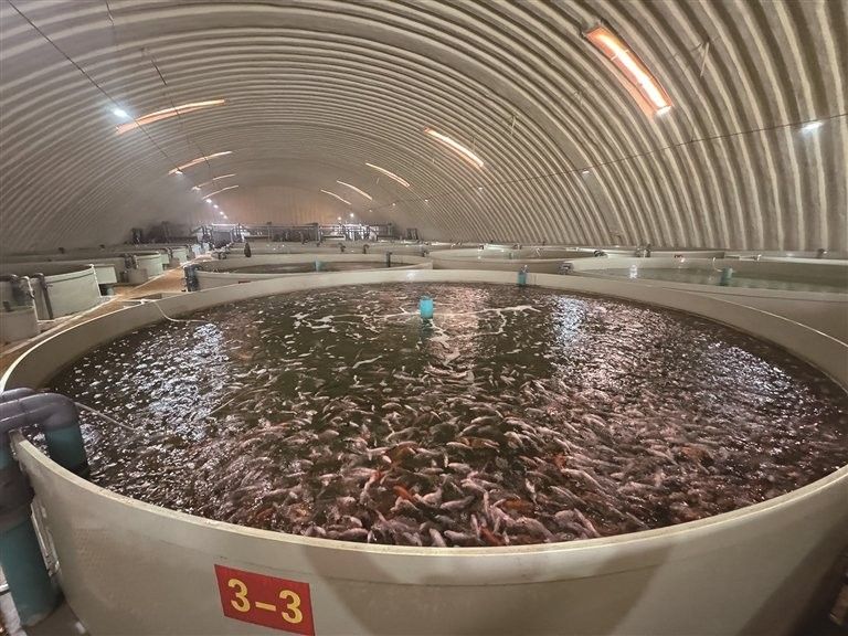 昌吉回族自治州還有哪些龍魚(yú)養(yǎng)殖基地（昌吉回族自治州有哪些龍魚(yú)養(yǎng)殖基地？）
