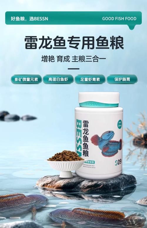 雷龍魚吃什么飼料最好