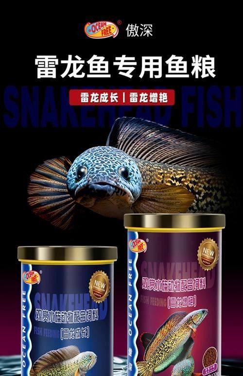 雷龍魚吃什么飼料最好