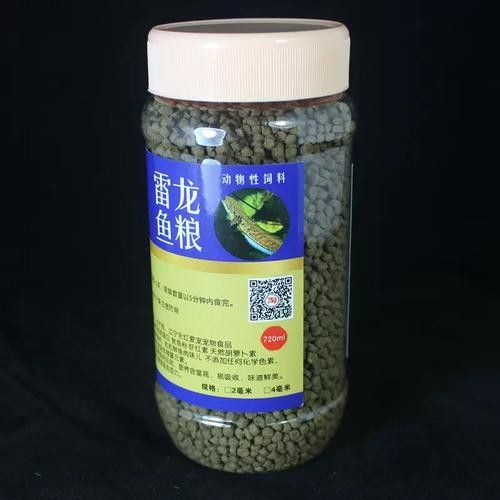 雷龍魚吃什么飼料最好
