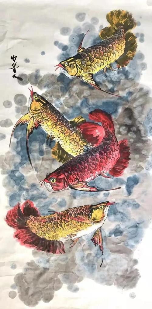哪里可以找到中國風(fēng)龍魚插畫（中國風(fēng)龍魚插畫可以通過以下幾種途徑獲取更多定制化資源）