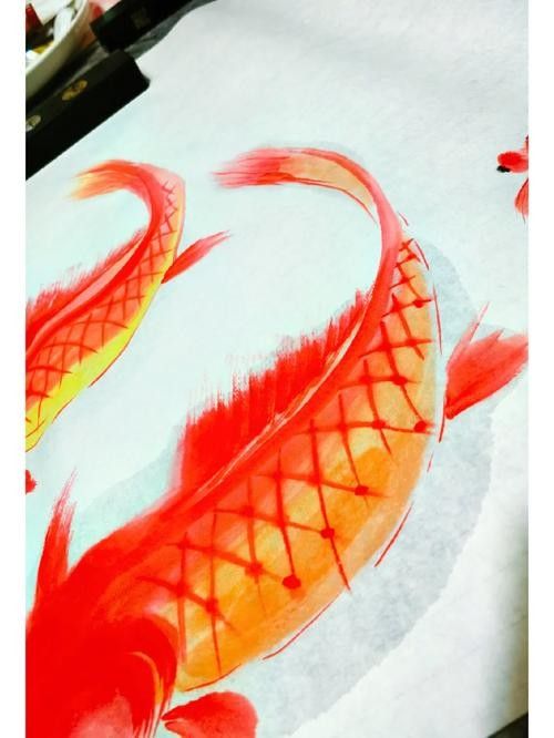 哪里可以找到中國風(fēng)龍魚插畫（中國風(fēng)龍魚插畫可以通過以下幾種途徑獲取更多定制化資源）