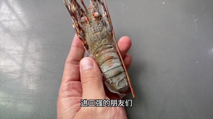 青龍魚多久喂一次食物？