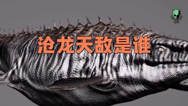 恐龍魚有哪些天敵？