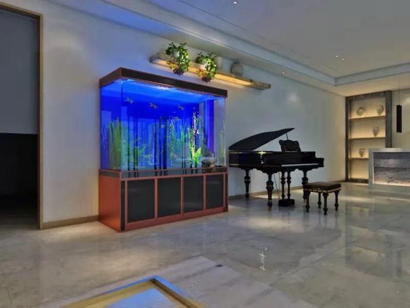 高背金龍魚缸加蓋需要注意什么？（背金龍魚缸加蓋時需要注意以下幾個關(guān)鍵方面以確保其安全和功能性）