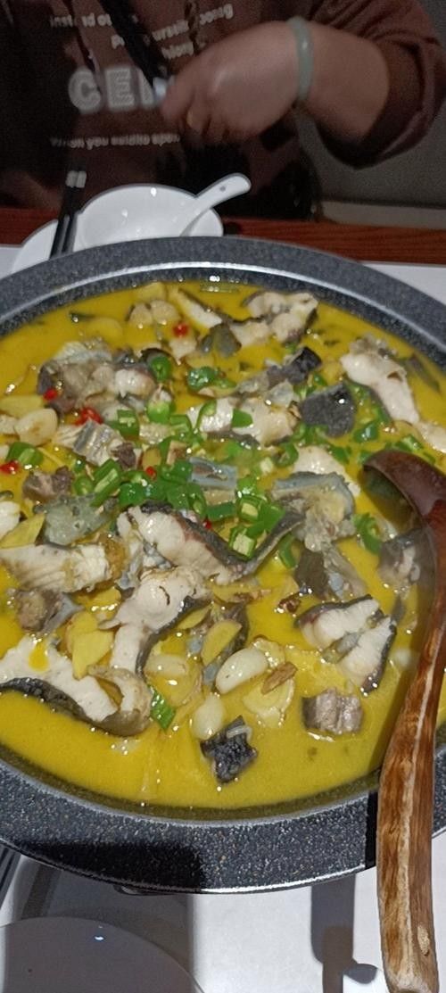 能提供更多鱘龍魚的圖片嗎 龍魚百科 第8張 能提供更多鱘龍魚的圖片嗎 能提供更多鱘龍魚的圖片嗎 龍魚百科 第8張