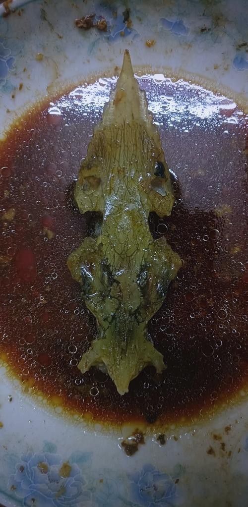 能提供更多鱘龍魚的圖片嗎 龍魚百科 第13張 能提供更多鱘龍魚的圖片嗎 能提供更多鱘龍魚的圖片嗎 龍魚百科 第13張