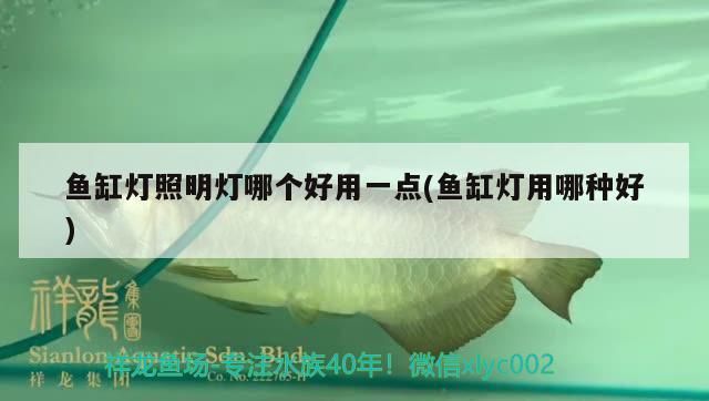 魚缸燈照明燈哪個好用一點(魚缸燈用哪種好) 魚缸燈照明燈哪個好用一點(魚缸燈用哪種好) 觀賞魚百科