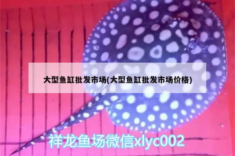 大型魚缸批發(fā)市場(chǎng)(大型魚缸批發(fā)市場(chǎng)價(jià)格)