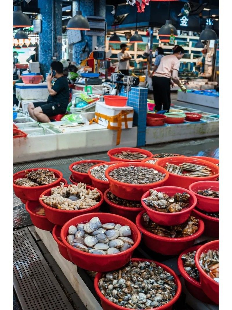 羅芳市場哪個檔口賣龍魚？（廣州羅芳市場哪個檔口賣龍魚）