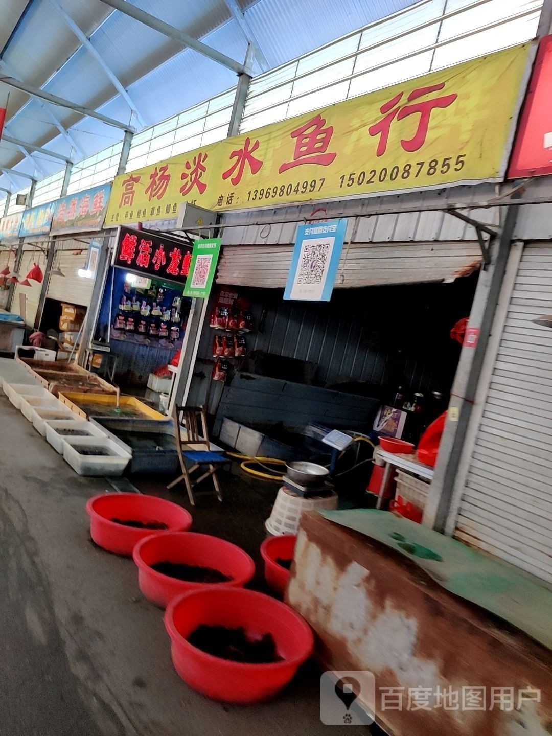 膠州淡水魚