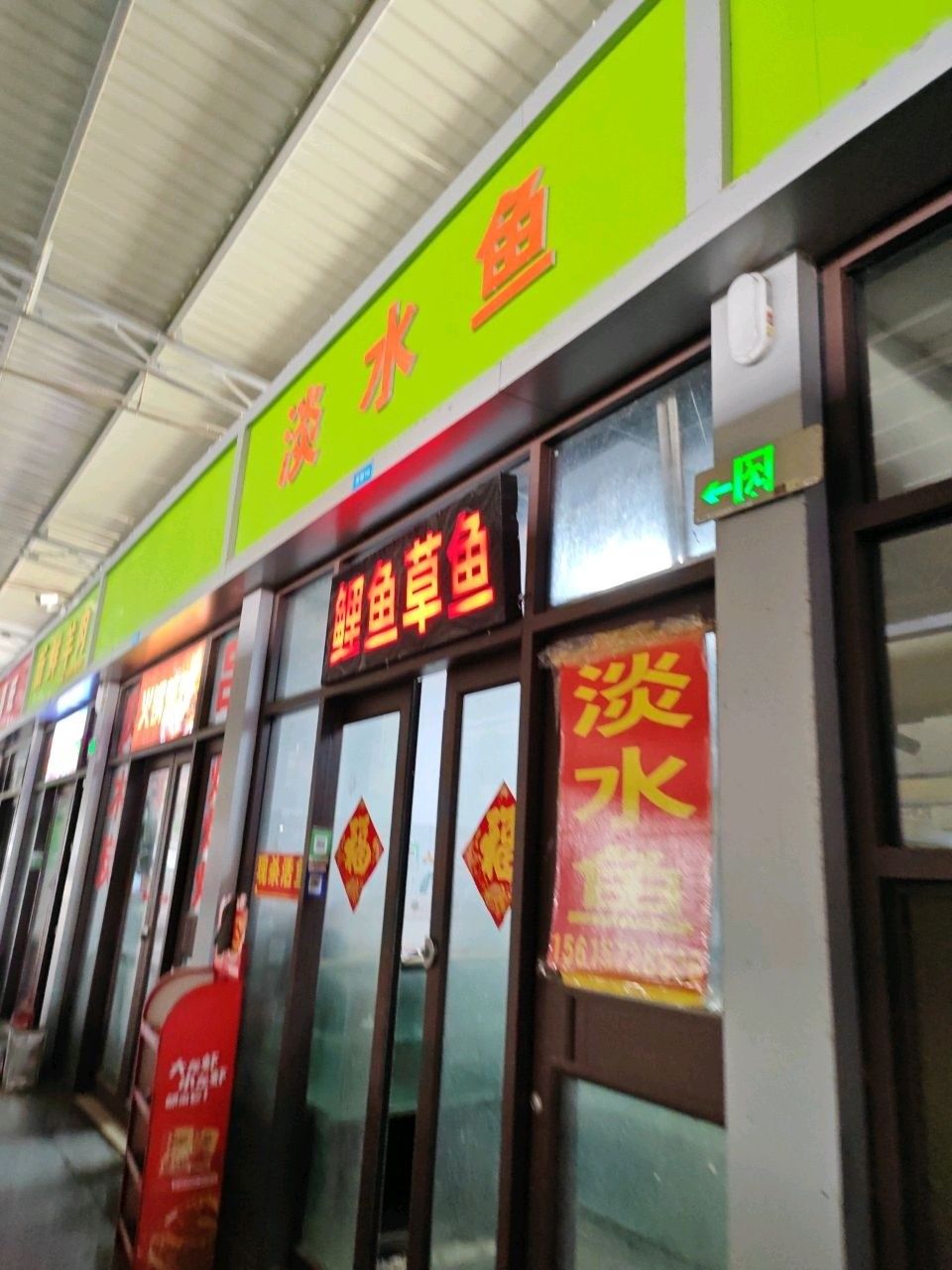 膠州淡水魚