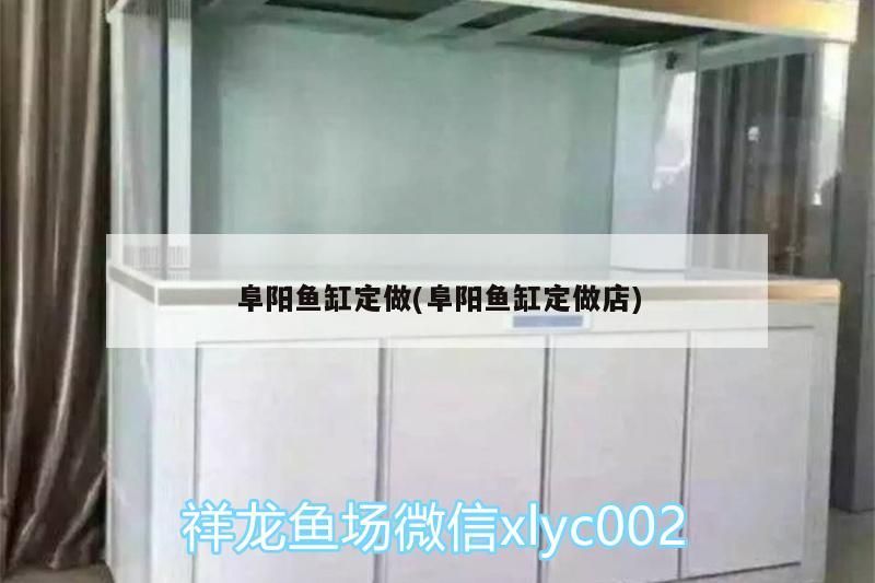阜陽魚缸定做(阜陽魚缸定做店)
